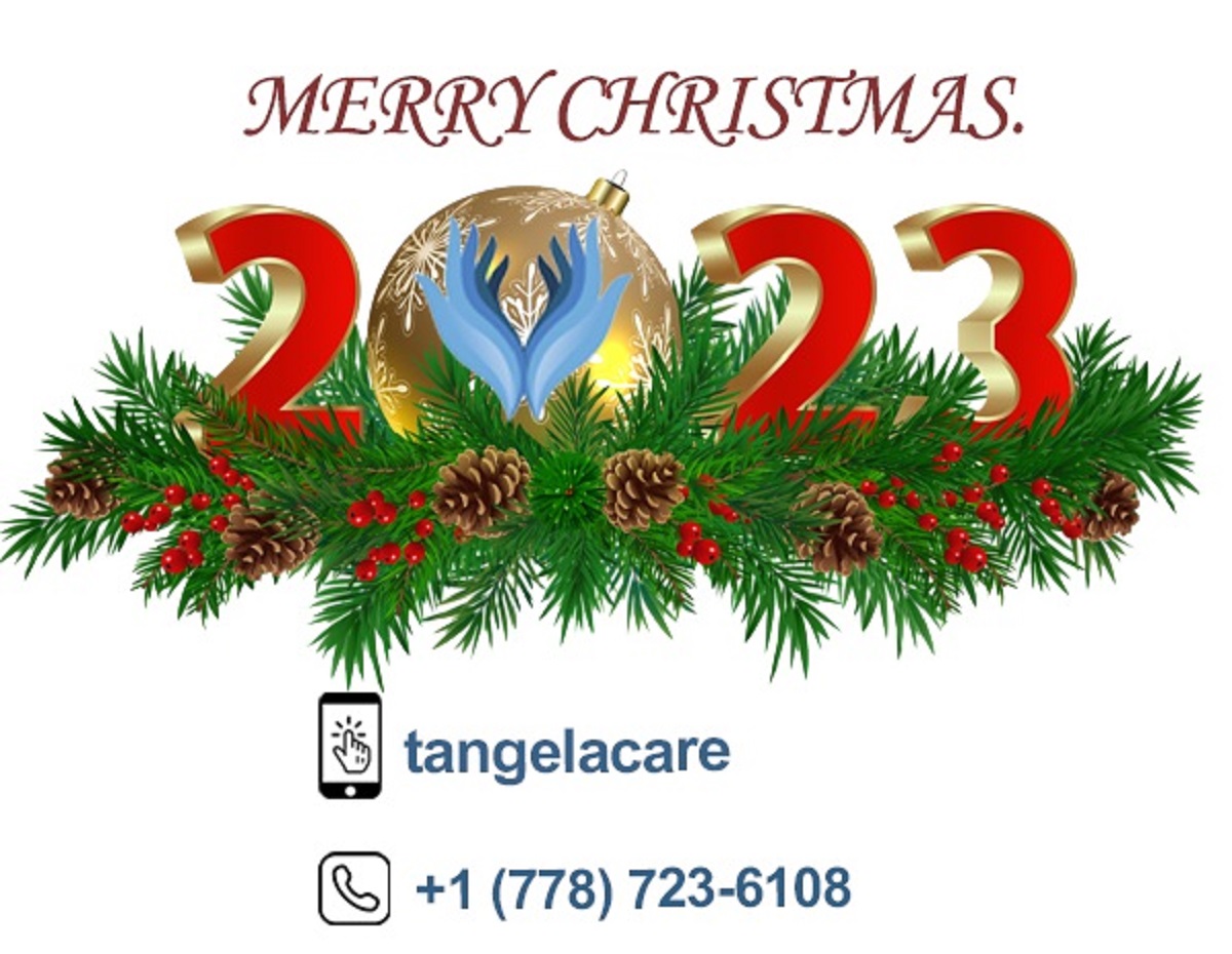 christmass 2023 tree